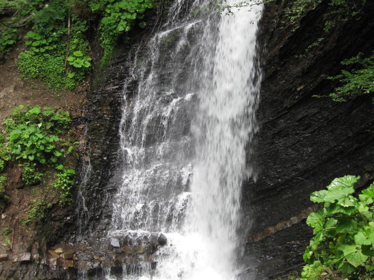 Дома для отпуска Teremok Микуличин