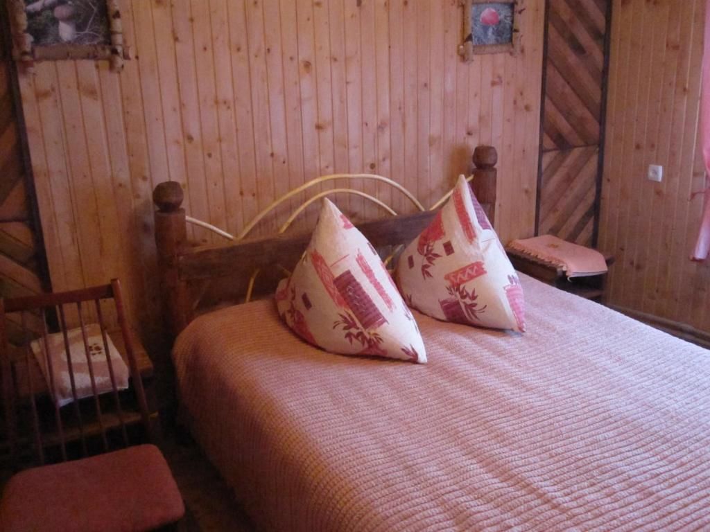 Дома для отпуска Teremok Микуличин