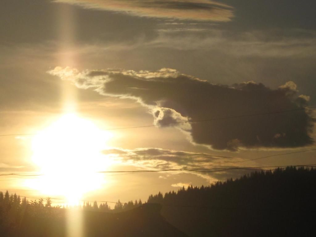 Дома для отпуска Teremok Микуличин