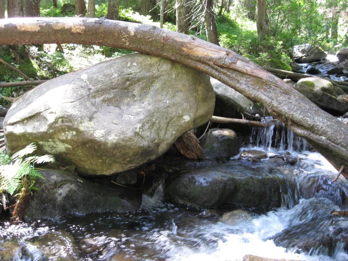 Дома для отпуска Teremok Микуличин